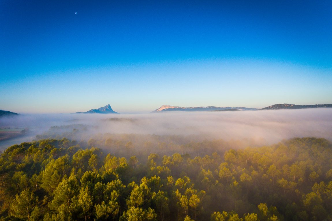 DJI_0370-1.jpg