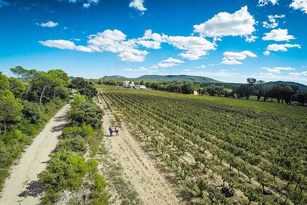 Chateau_la_roque_pic_saint_loup_promenade_2_2.jpg