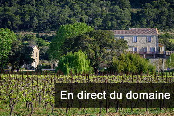 direct_domaine-1.jpg