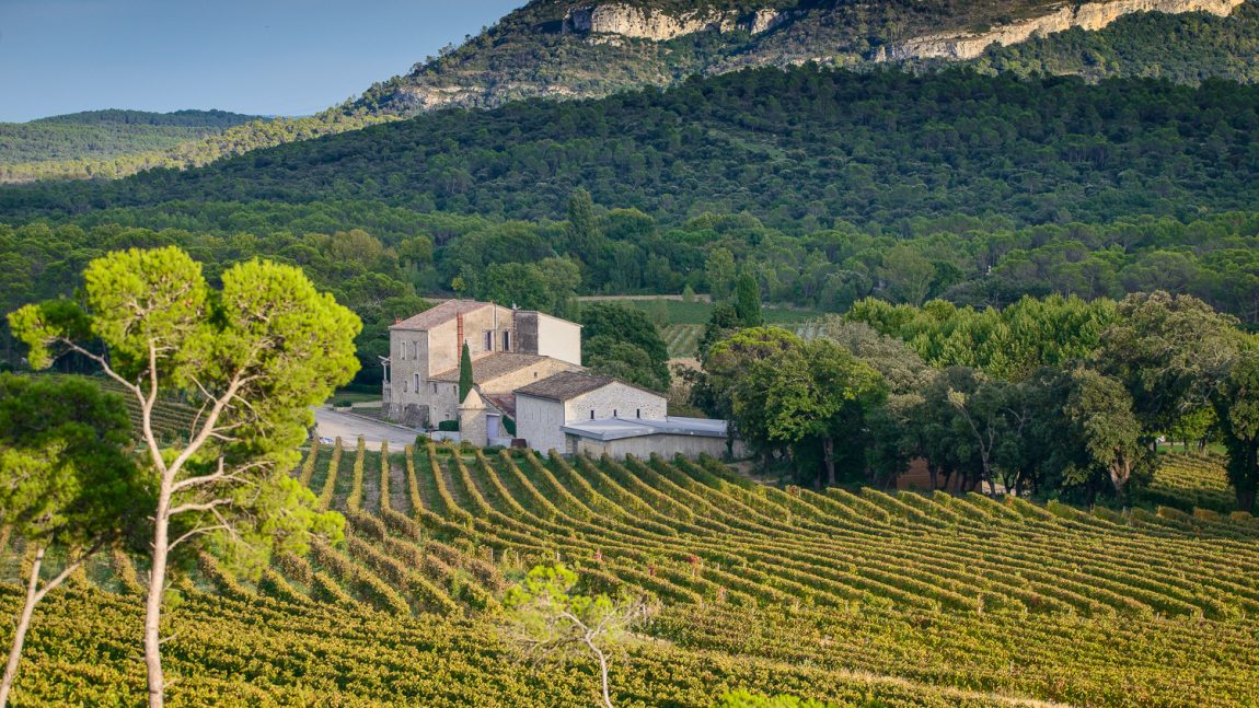 Marche d’Hiver à La Roque