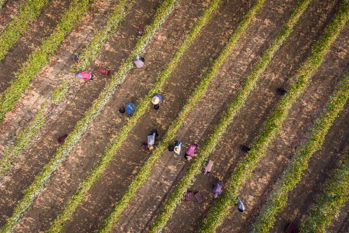 DJI_0094.jpg