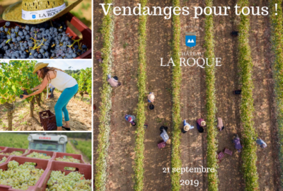 Vendanges pour tous !