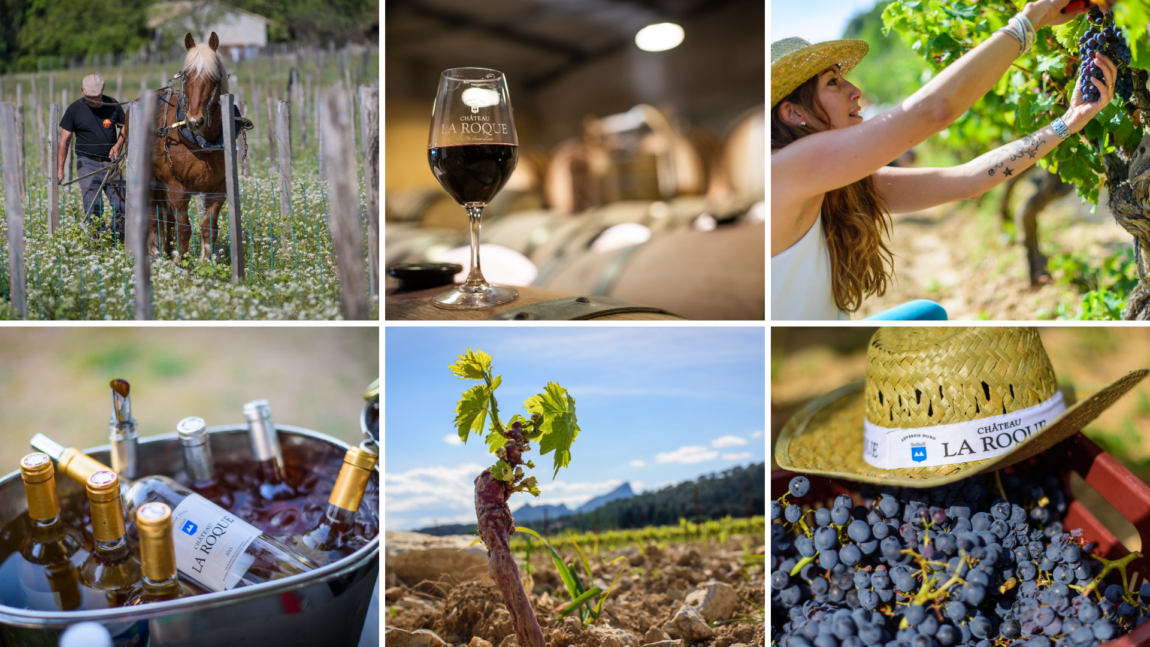 (Français) GRAND CONCOURS PHOTO « LA ROQUE VIN COEUR »