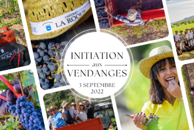 (Français) Journée d’initiation aux vendanges