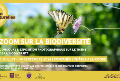 Concours-photo : « ZOOM SUR LA BIODIVERSITÉ »