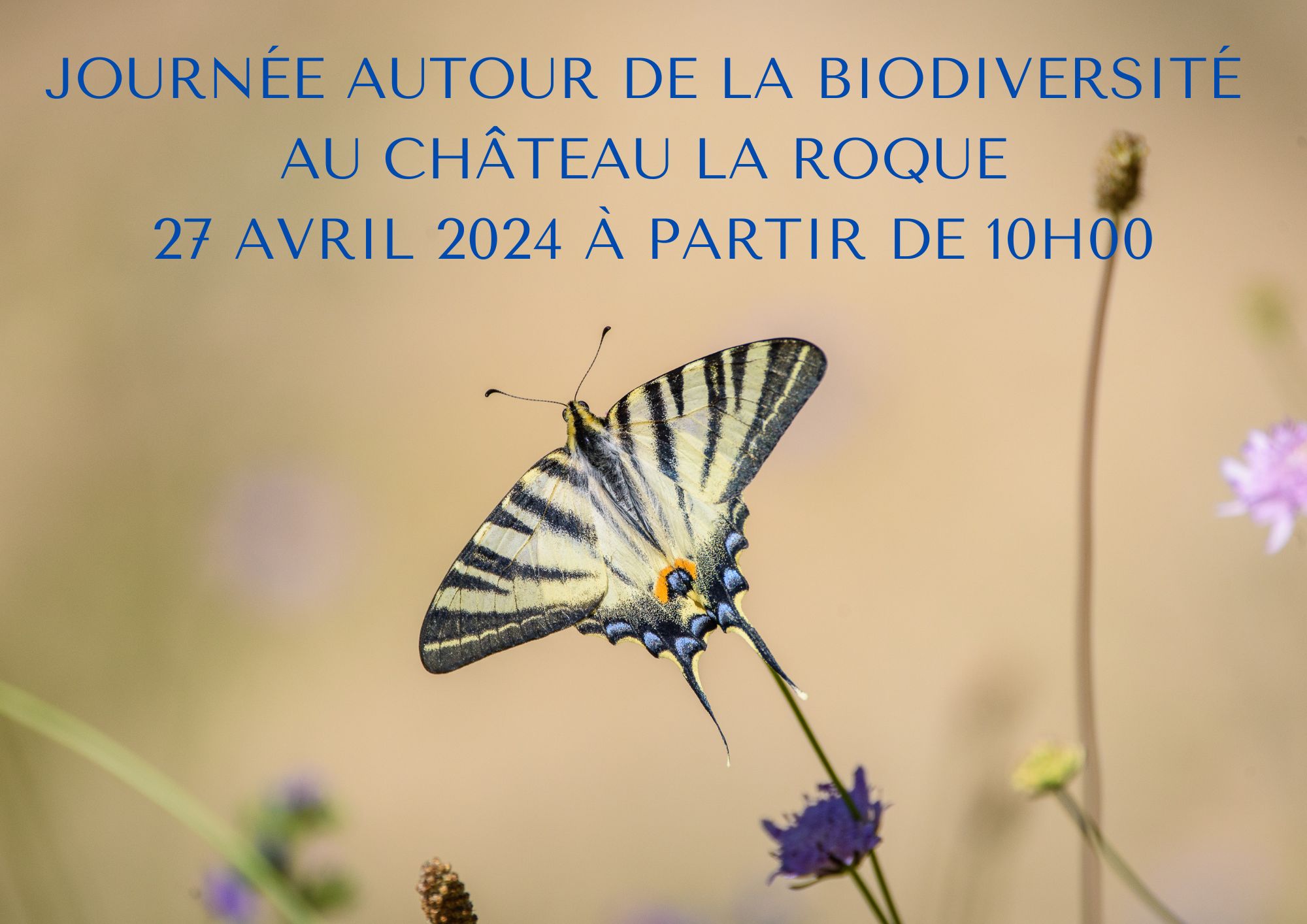 (Français) Journée autour de la biodiversité au Château La Roque