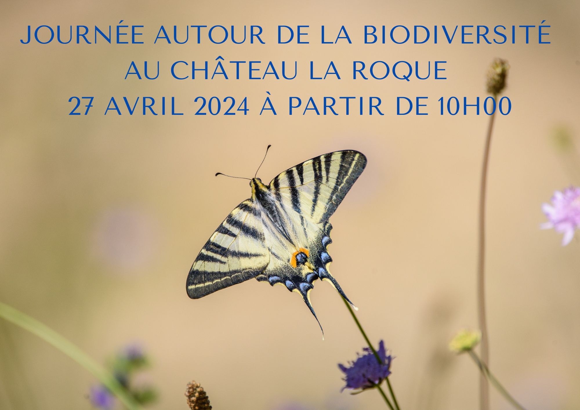 Journée autour de la biodiversité au Château La Roque